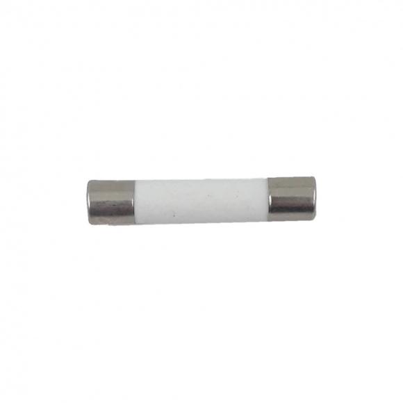 FUSIVEL MICROONDAS 10AMPERES  ICL2484